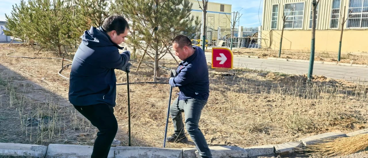 1736322201221592.jpeg 4.jpg