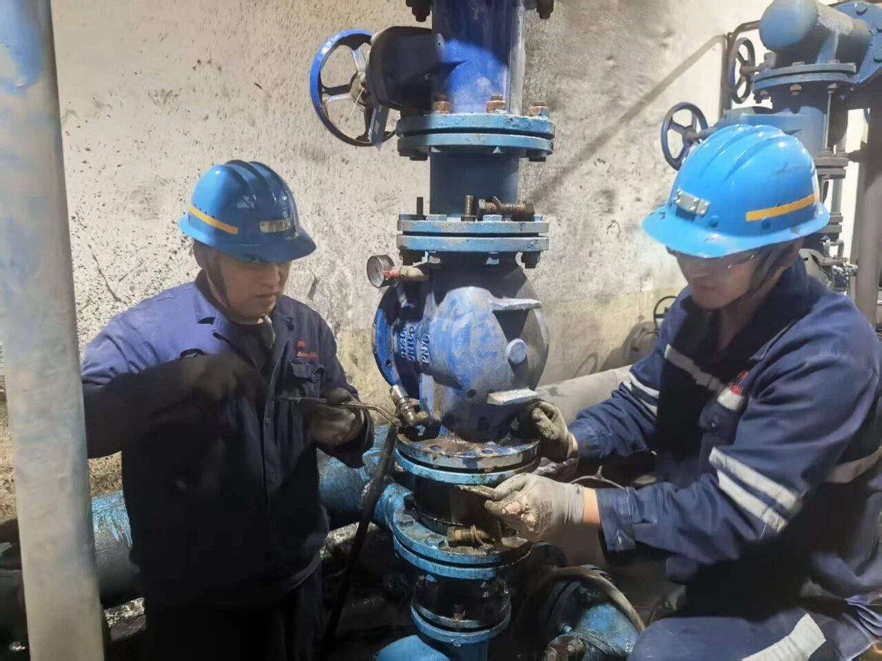 1762475071446194.jpeg 2.jpg