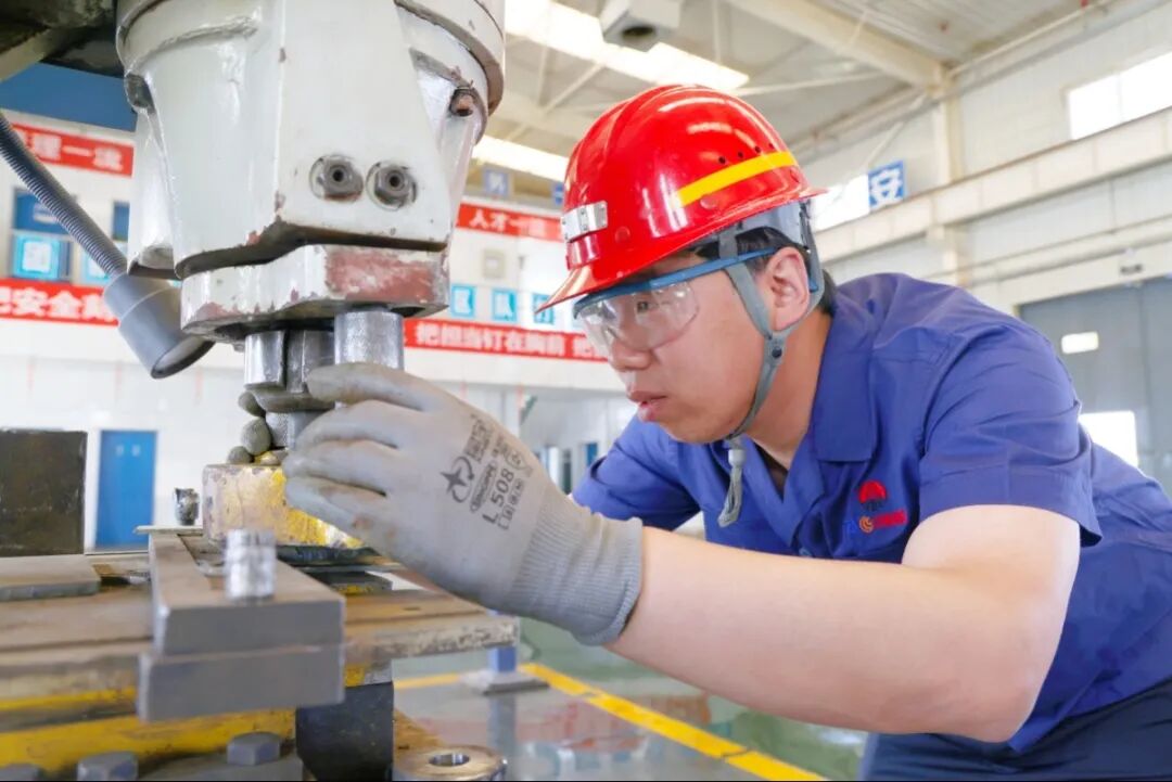 1762475275413544.jpeg 1.jpg