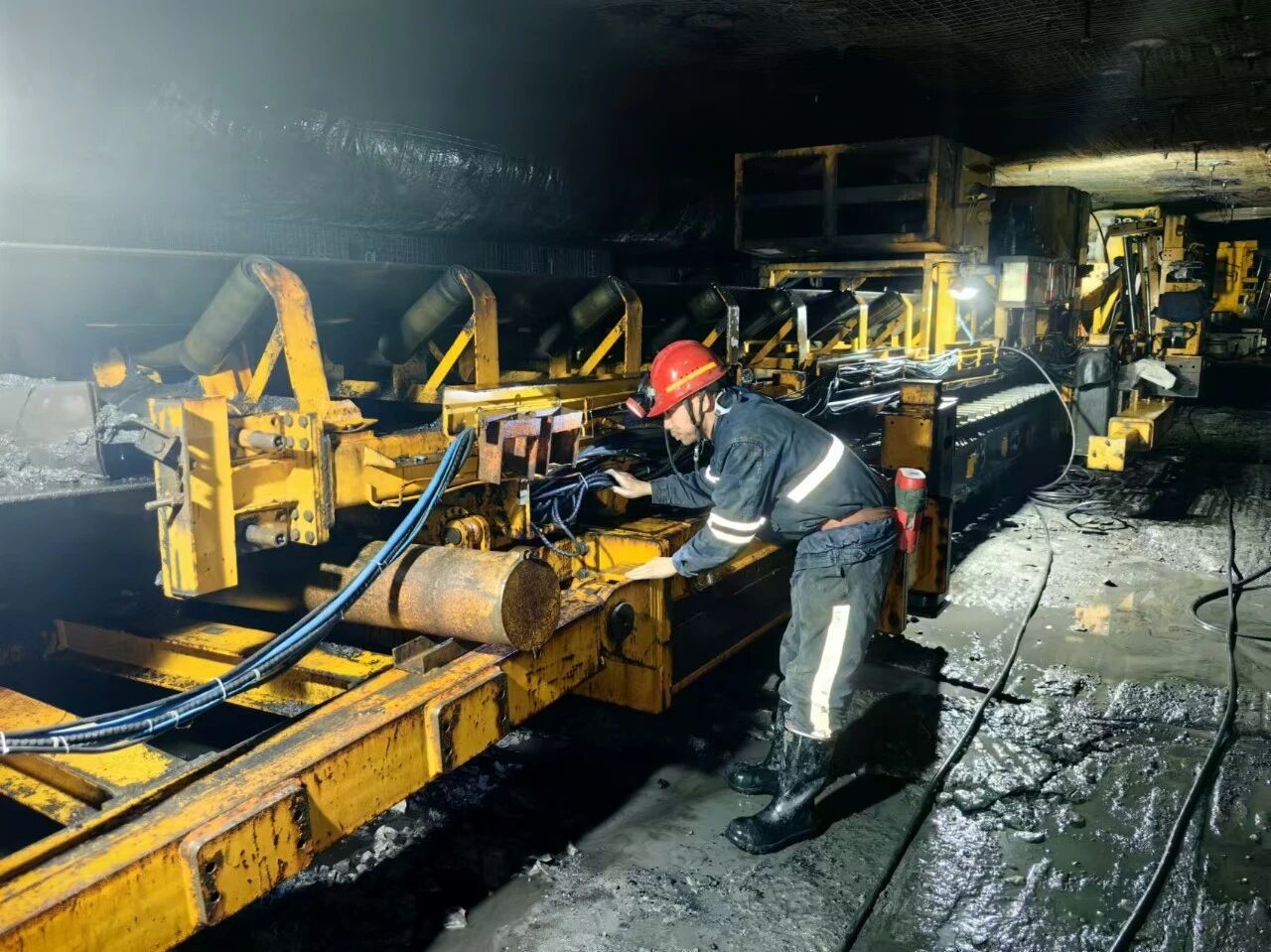 1763972448870861.jpeg 2.jpg