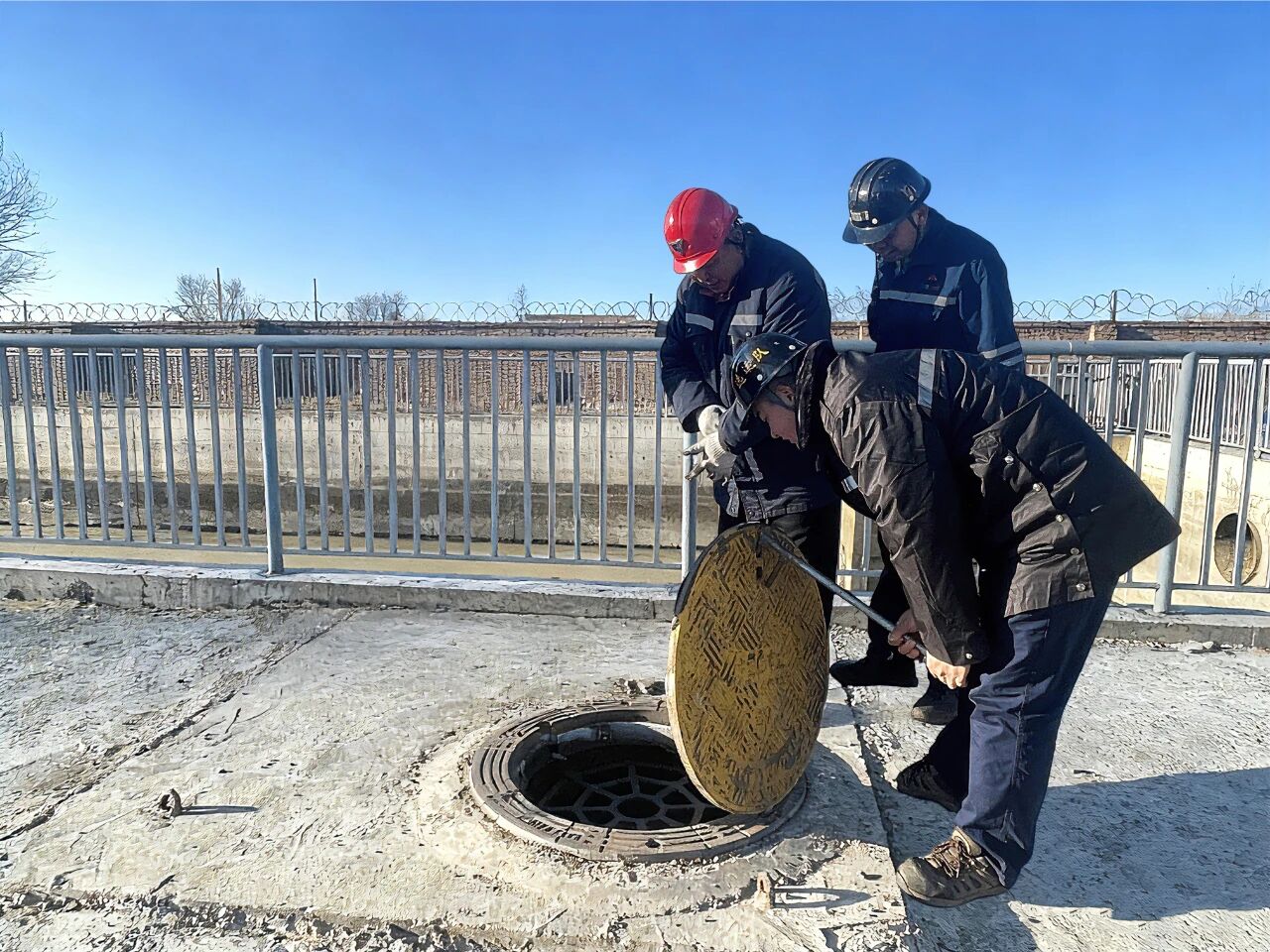 1765241236611012.jpeg 3.jpg