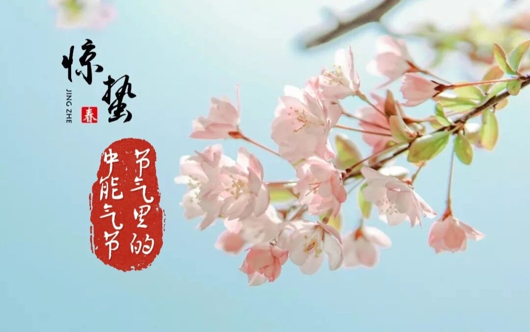 1772842191780887.jpeg 1.jpg