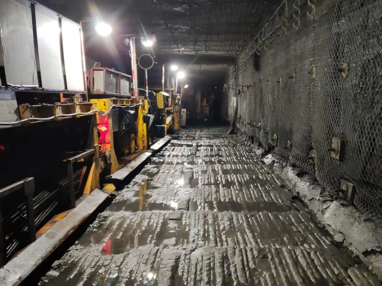 1773621679160271.jpeg 1.jpg